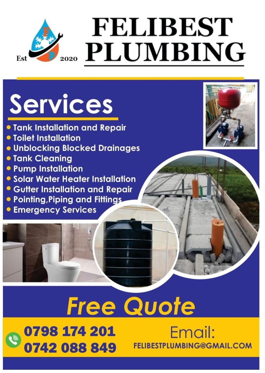 Professional Plumbing Consultation Services in London