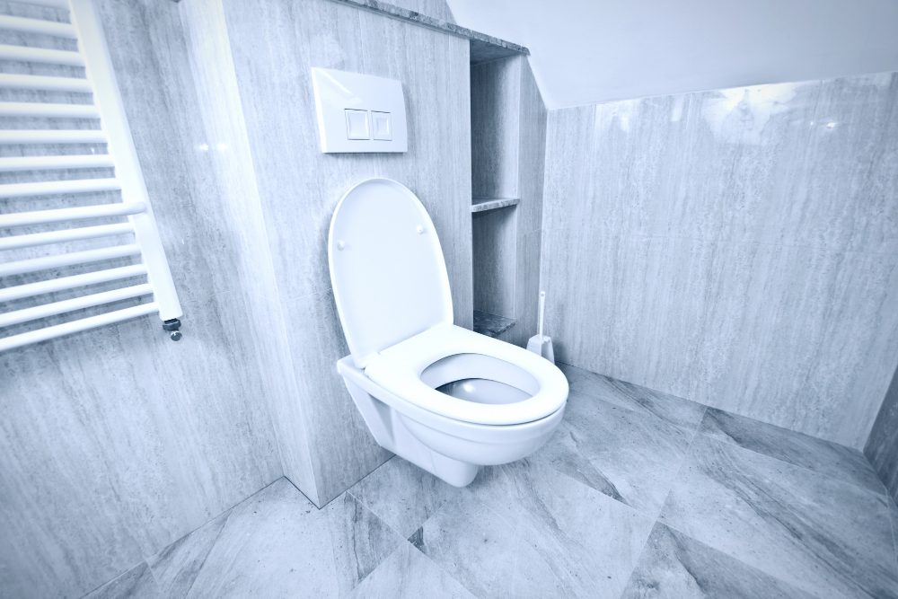 Professional Clogged and Overflowing Toilet Repair Services in London