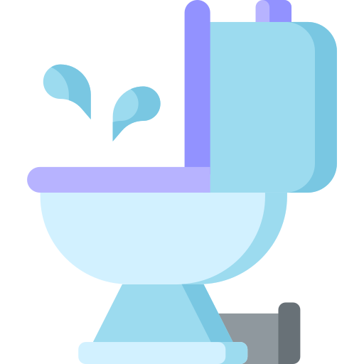 Professional Clogged and Overflowing Toilet Repair Services in London